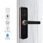 Kata Sandi Elektronik Smart Fingerprint Door Lock wifi jaringan bluetooth