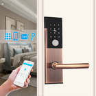 45mm Tebal Kunci Pintu Digital Tanpa Kunci DC6V AA Alkaline Untuk Hotel Rumah