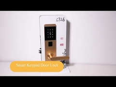 Aluminium Alloy Smart Home Password Door Locks dengan Aplikasi TT Lock