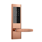 Electronic Digital Keypad Apartment Smart Door Lock Untuk Rumah AirBNB