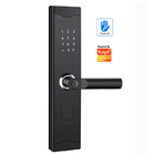TUYA USB Port Darurat Push Pull Direction Smart Home Door Lock For Front Door
