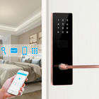 Berbagai Warna Opsional Digital Keypad Apartemen Smart Door Lock dengan Smart App