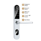 Kontrol APP Digital TTlock Door Lock Sidik Jari Cerdas 6V Untuk Rumah