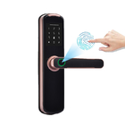 Digital Biometric Keyless Smart Fingerprint Door Lock Wifi BLE Untuk Rumah
