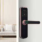 cerradura inteligente kunci pintu keypad digital kunci pintu pintar dengan sidik jari