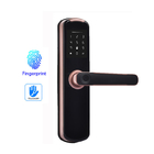 Tuya Smart Lock Home Digital Card App Kunci Pintu Terkendali Kunci Pintu Sidik Jari Biometrik
