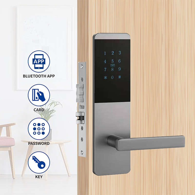 4 in 1 Aluminium Alloy Apartment Smart TTlock Kunci Pintu Dengan Touch Keypad